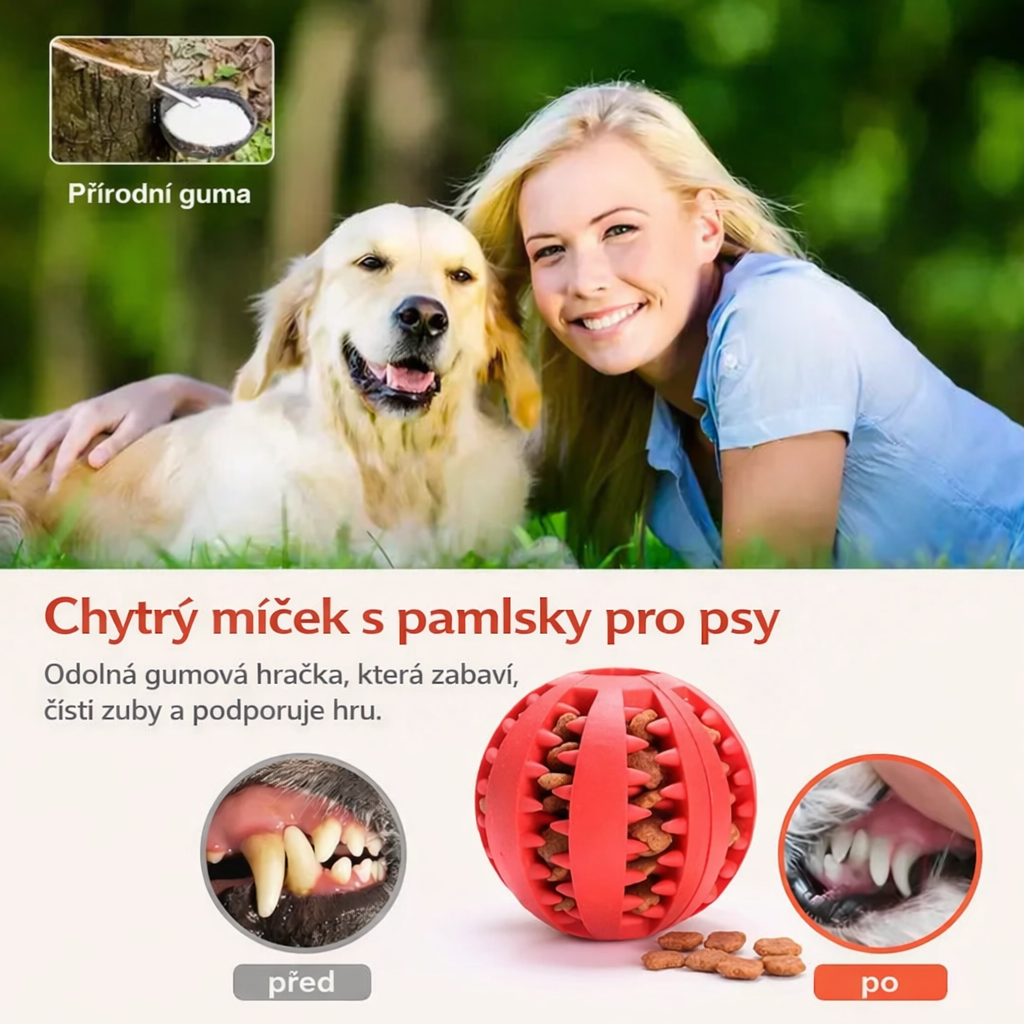 Chytrý míček s pamlsky pro psy